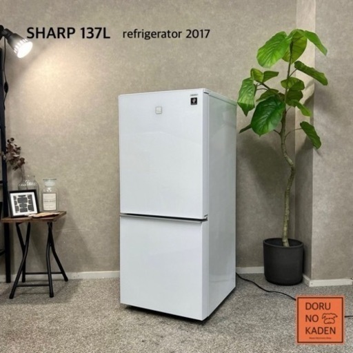 ☑︎ご成約済み SHARP 一人暮らし冷蔵庫✨ 上品なホワイトガラス