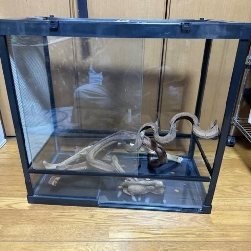 爬虫類ゲージ\n