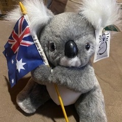 オーストラリアコアラ