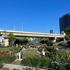 ✨中之島祭り行く方募集🎇