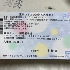【ネット決済・配送可】東京コミコン2024 入場券1枚