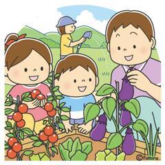 🌟畑仲間募集🍉週末の趣味🍅家庭菜園🌽芋掘り🍆みずみずしい夏…