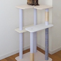 子猫タワー