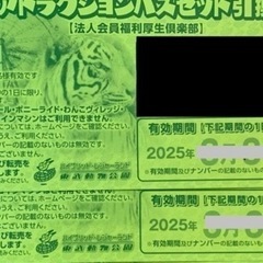 【ネット決済・配送可】チケット テーマパーク/遊園地