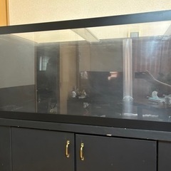 1200水槽（濾過層付き）