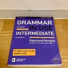 Grammar in Use Intermediate 第4版 ...