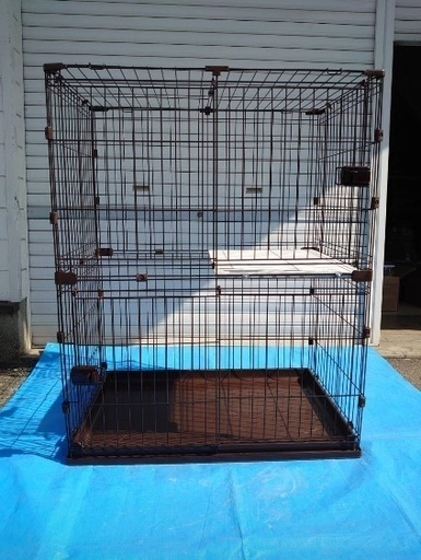 猫ゲージ5階建まであります