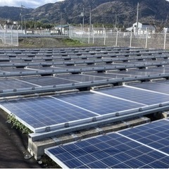 太陽光発電所の除草、除草剤管理の画像