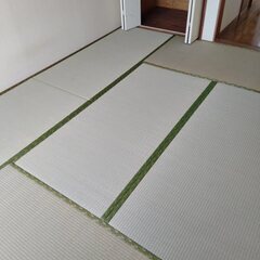 横浜市港北区　表替え済のキレイな畳　6枚＋α　現地引取限定