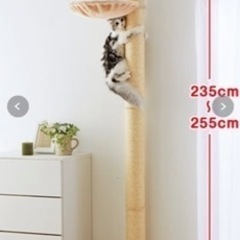 ⚫︎無料⚫︎ペピィ　猫用　キャットタワー　木登りタワー