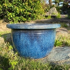 陶器鉢(中)