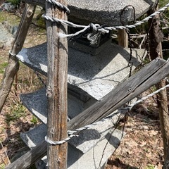 立灯籠　庭石　  240cm