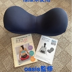 oasis監修　ながらクッションfit エクササイズグッズ