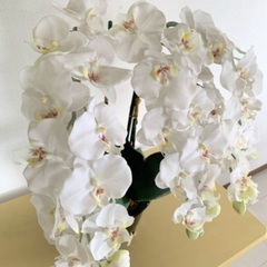豪華で立派な胡蝶蘭（造花）