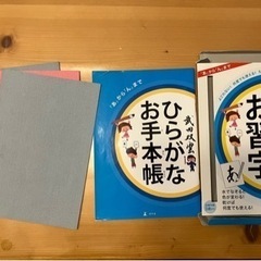 【決定】武田双雲　水で書けるはじめてのお習字