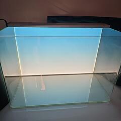 【受け渡し決まりました】レグラス　６０cmハイタイプ水槽+ライトバックスクリーン