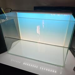 レグラス　６０cmハイタイプ水槽+ライトバックスクリーン