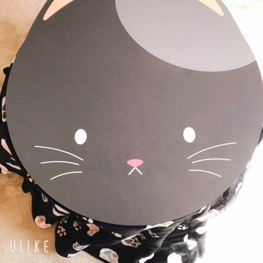 ねここたつ