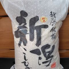 令和5年 10kg（5㎏×2袋） コシヒカリ 米 新潟産 お米 ...