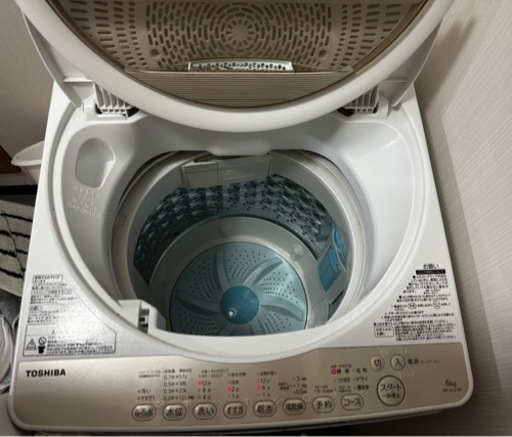 家電 生活家電 洗濯機