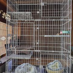 猫用 ケージ  3段 自由に組み合わせ可能 フードボール２個つき