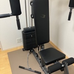 BODYMAKER ホームジムDX フィットネス、トレーニング