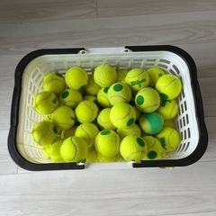 グリーンボール67個　オレンジボール12個　スポーツ テニス
