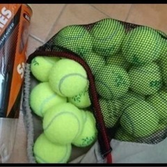 【ネット決済】used硬式テニスボール70球