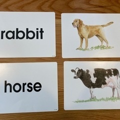 七田式フラッシュカード　　かな絵ちゃんカードA/B （英語版）