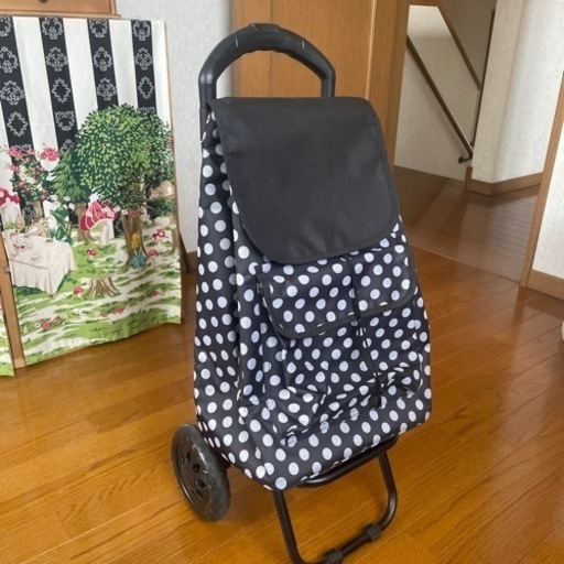 買い物キャリーバッグ