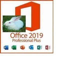 ★【手順書有】 永続版 Microsoft Office Pro...