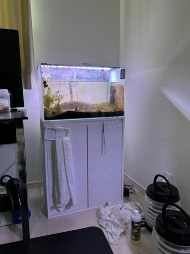 決まりました60cm水槽+水槽台