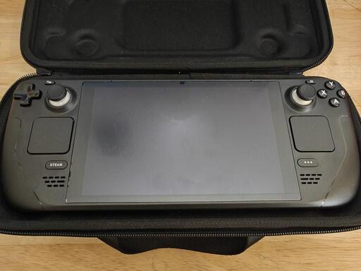その他 Steam Deck 256GB