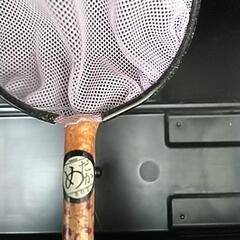 メダカ26種類&メダカ用品セット