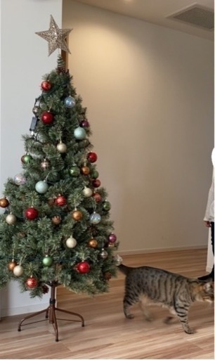 クリスマスツリー　アルザスツリー