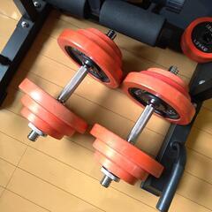 お話中　筋トレセット　ダンベル　ベンチ台　チンニングスタンド　ezバー