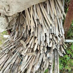 【ネット決済】支柱、農業　竹支柱　大量　イチゴ作りに支柱使ってた...