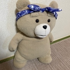 ted テッド