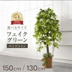 観葉植物ベンジャミン（150センチ）フェイク