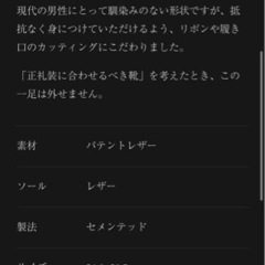 オペラパンプス　26cm