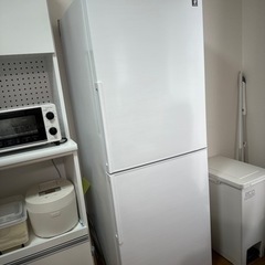 🉐シャープ　冷蔵庫　冷凍大きい！