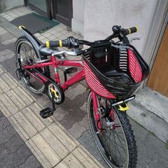 [BRIDGESTONE] CFJ(クロスファイヤージュニア)22吋 MTB 7speed/レッド