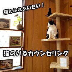 猫のいるカウンセリング　お悩み聞きます　猫好きさん向け　（横須賀...