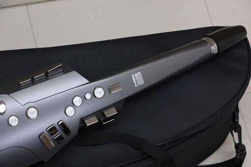 Roland Aerophone AE-10 エアロフォン 収納バッグ付きローランド 電子