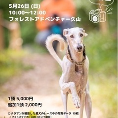 明日です！わんちゃんレース(愛犬の可愛い姿撮影します)　久山開催！