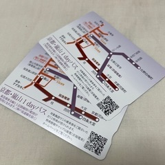 【ネット決済・配送可】京都・嵐山1dayパス 2枚
