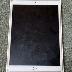 iPad Pro 10.5inch 256GB