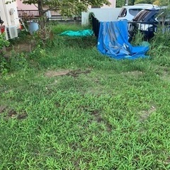 園庭のお手入れ（保育園）