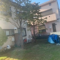 園庭のお手入れ（保育園）