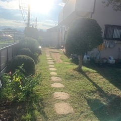 園庭のお手入れ（保育園）